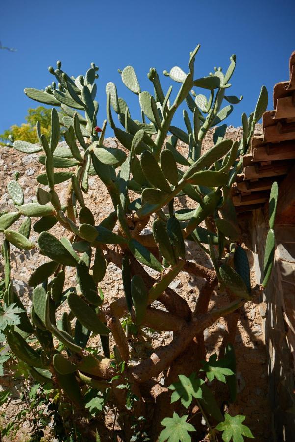 Jardin de Palme Appartement La Palme Buitenkant foto